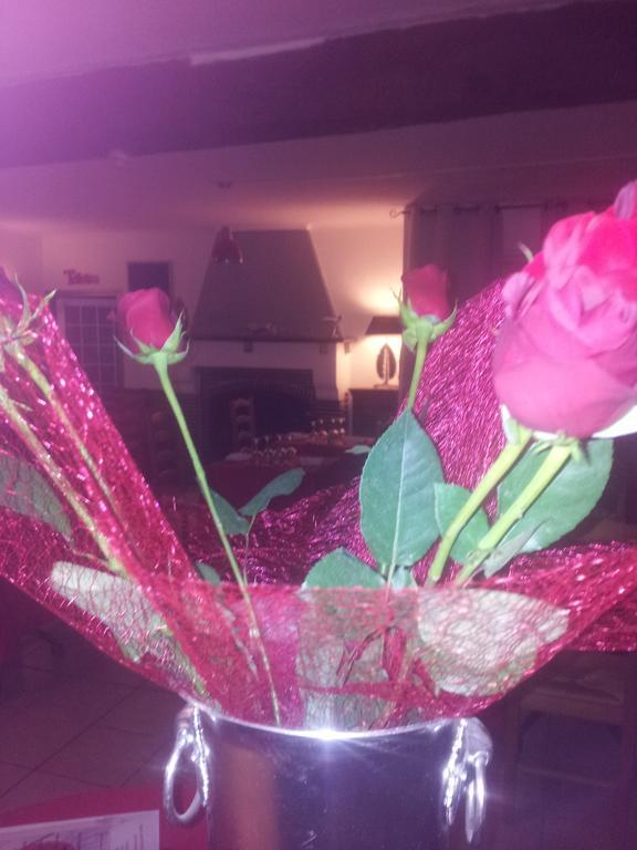 Eauze Hotel Restaurant Henri IV מראה חיצוני תמונה
